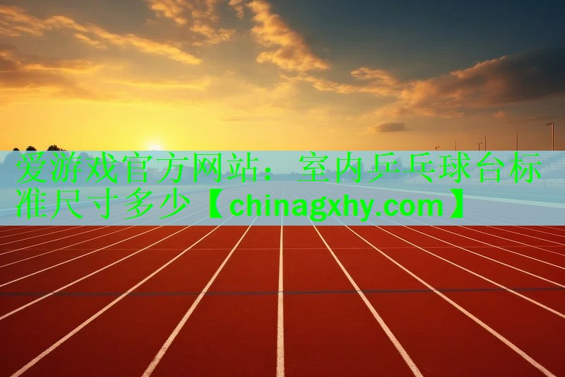 室内乒乓球台标准尺寸多少