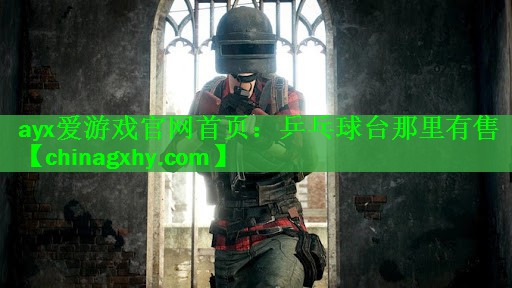 乒乓球台那里有售