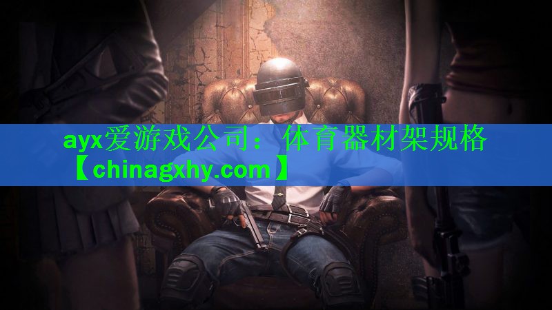 体育器材架规格