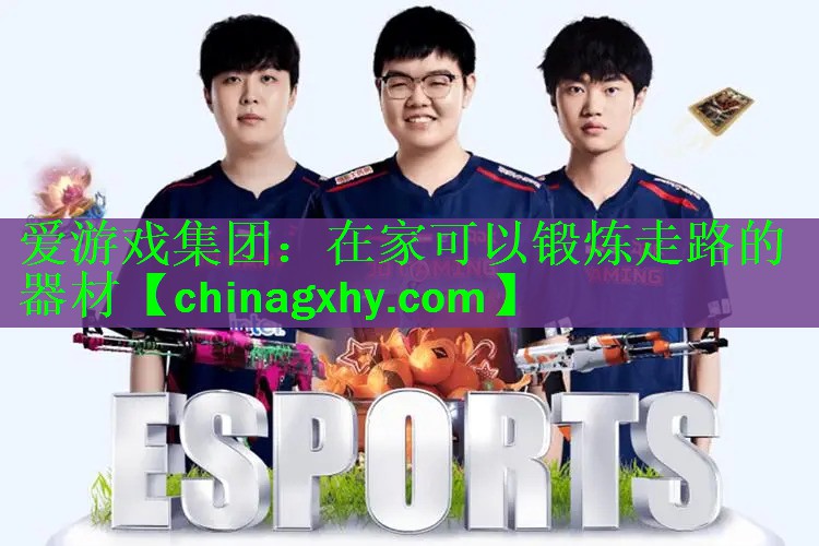 在家可以锻炼走路的器材