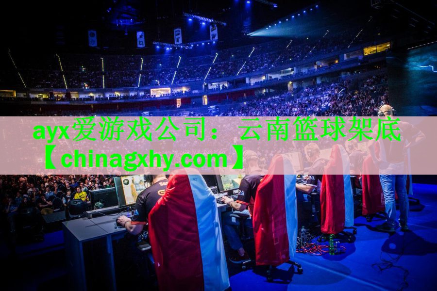 云南篮球架底