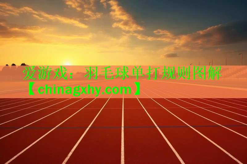 羽毛球单打规则图解