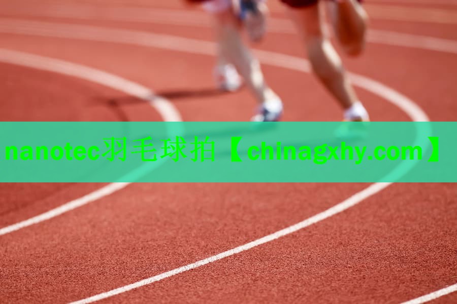 nanotec羽毛球拍