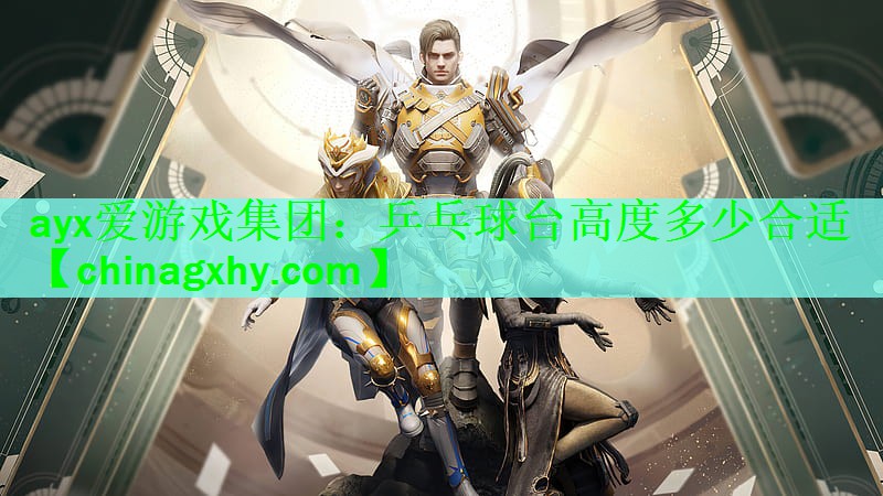 乒乓球台高度多少合适