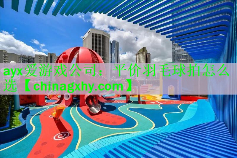 平价羽毛球拍怎么选