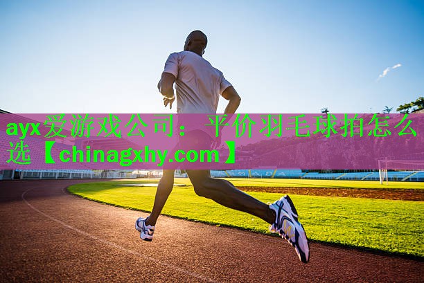 平价羽毛球拍怎么选