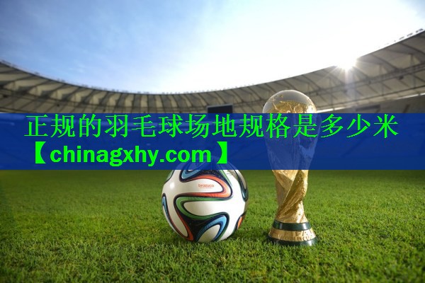 正规的羽毛球场地规格是多少米