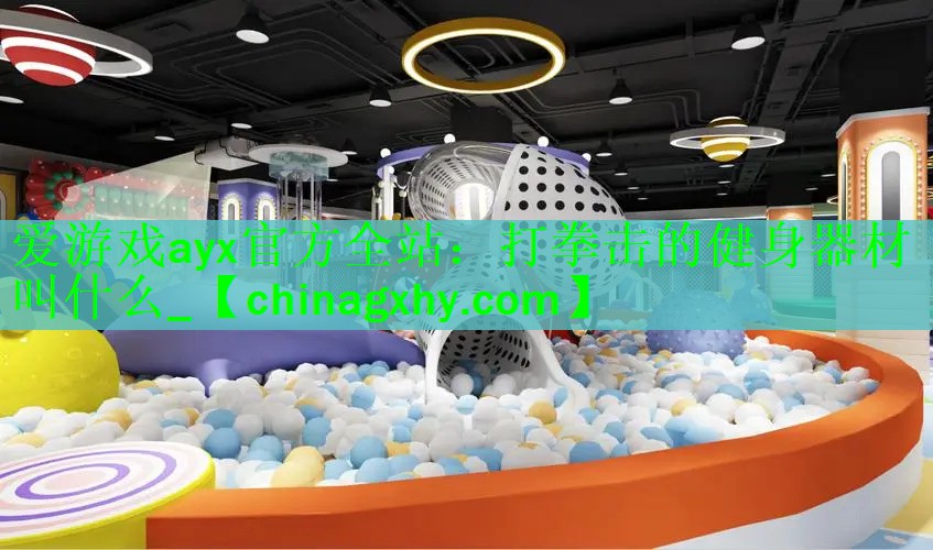 打拳击的健身器材叫什么_