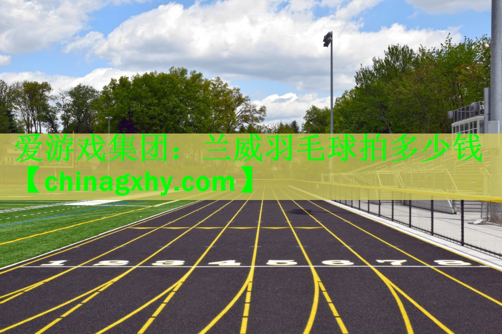 兰威羽毛球拍多少钱