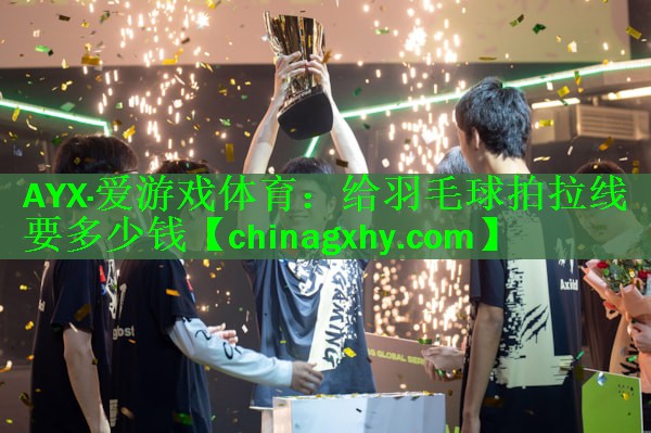 给羽毛球拍拉线要多少钱