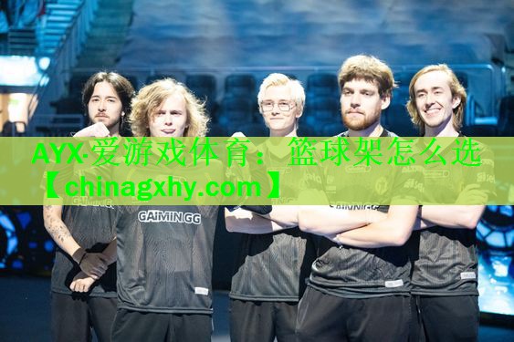 篮球架怎么选