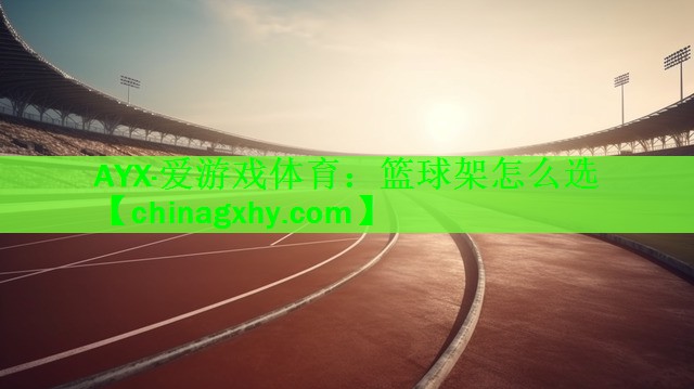 篮球架怎么选