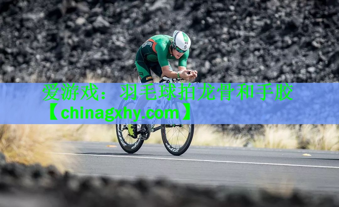 羽毛球拍龙骨和手胶