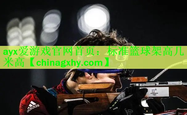 标准篮球架高几米高