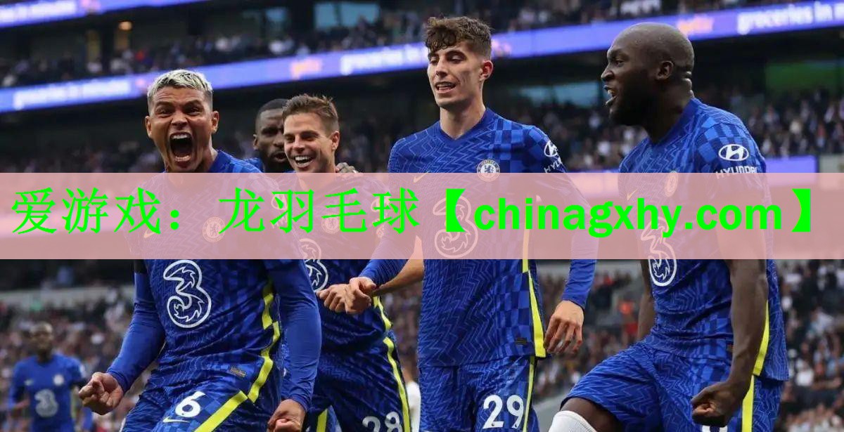 龙羽毛球