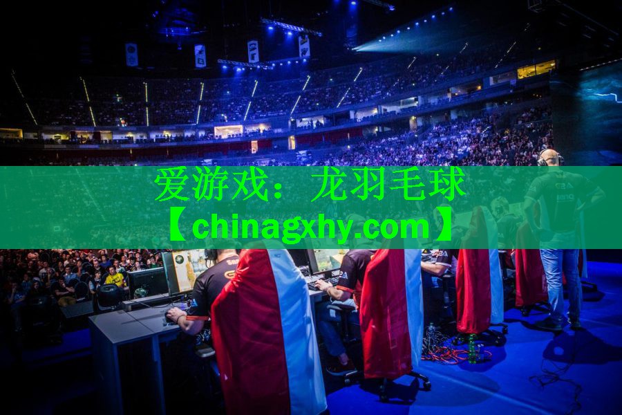 龙羽毛球