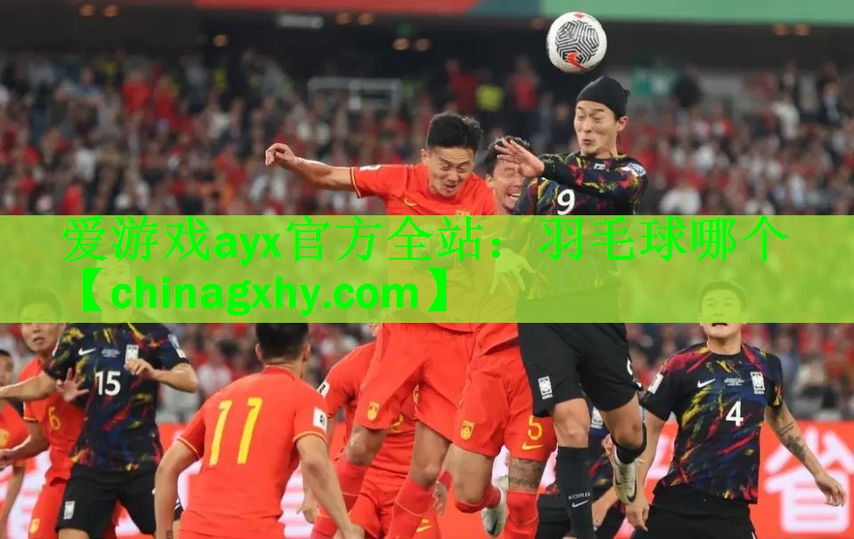 羽毛球哪个