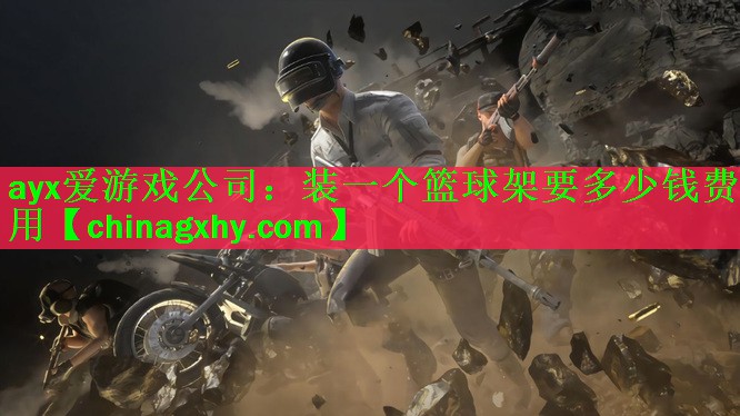 装一个篮球架要多少钱费用