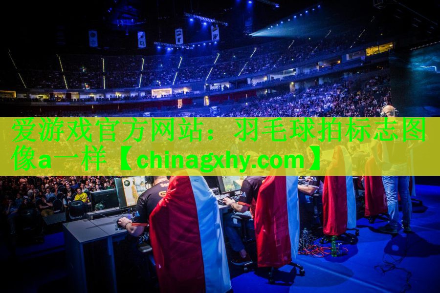 羽毛球拍标志图像a一样