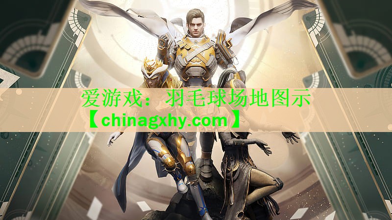 羽毛球场地图示