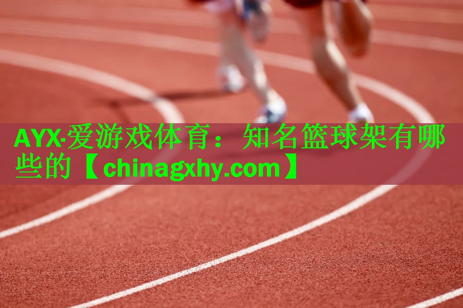 知名篮球架有哪些的