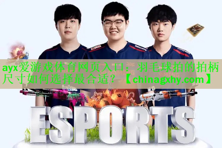 羽毛球拍的拍柄尺寸如何选择最合适？