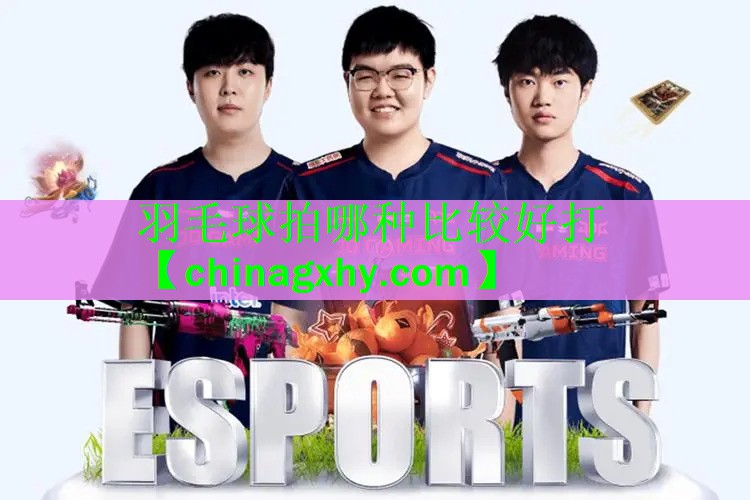 羽毛球拍哪种比较好打