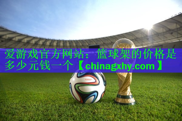 篮球架的价格是多少元钱一个