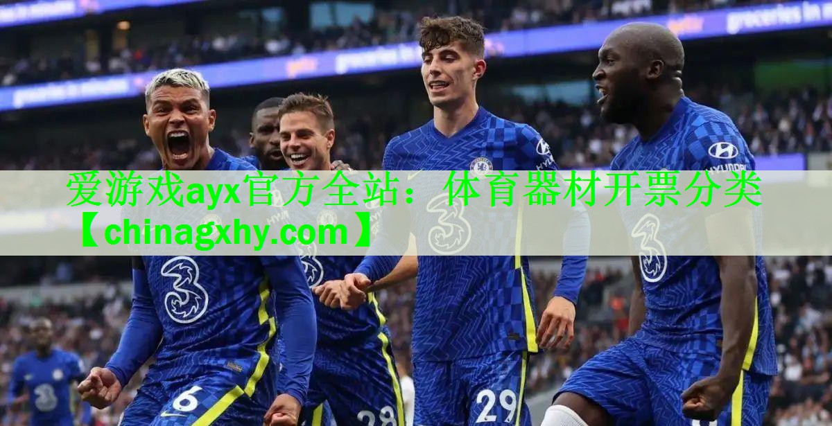 体育器材开票分类