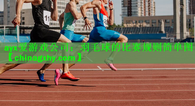 羽毛球的比赛规则简单图
