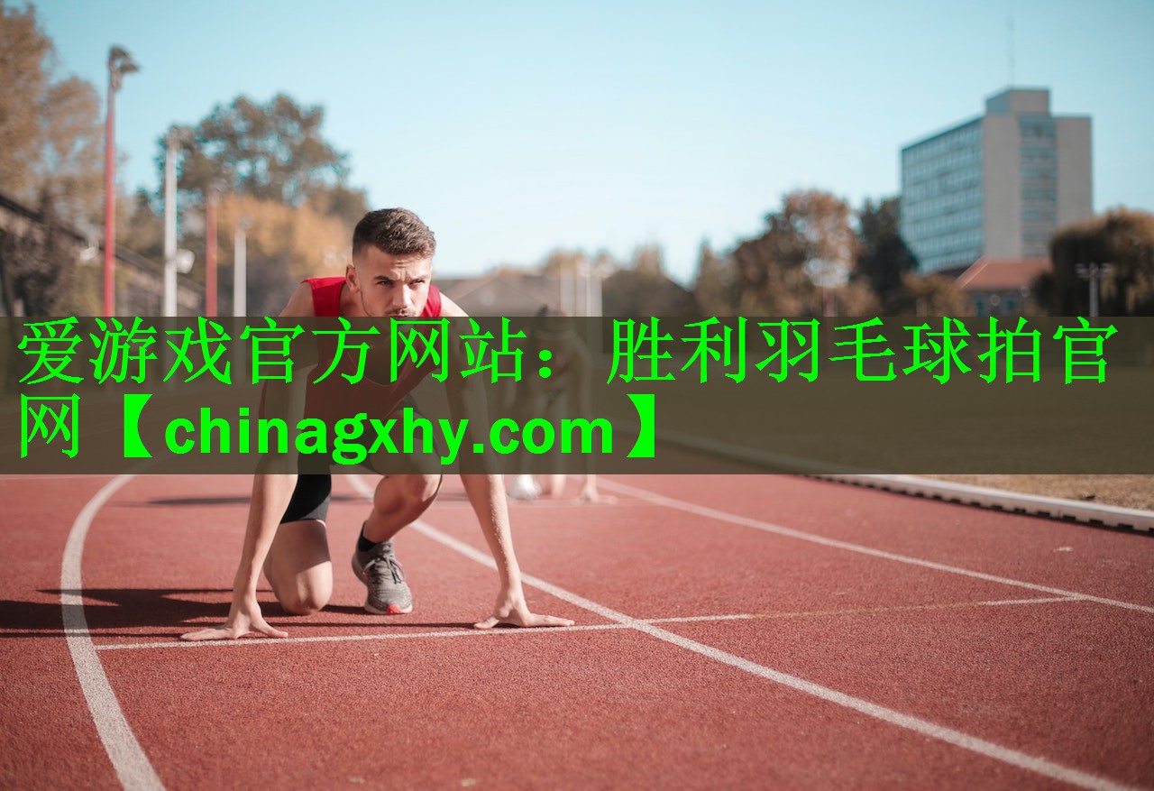 胜利羽毛球拍官网