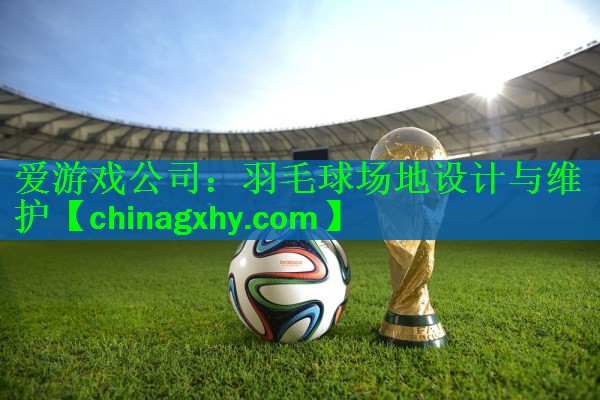 羽毛球场地设计与维护