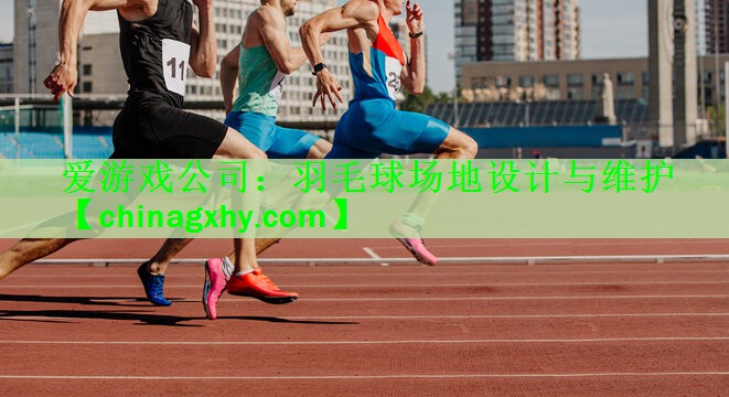 羽毛球场地设计与维护